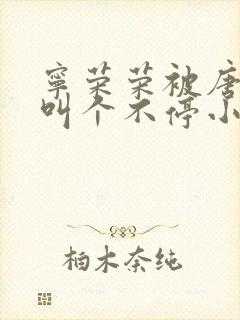 宁荣荣被唐三桶叫个不停小说