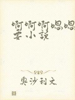 啊啊啊嗯嗯嗯不要小说封面