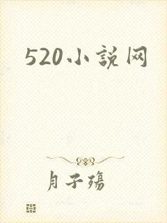 520小说网