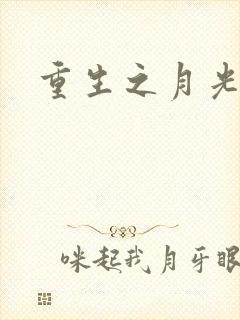重生之月光少年