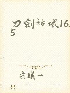刀剑神域16.5封面