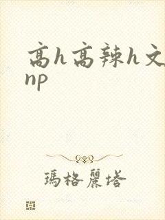 高h高辣h文乱np