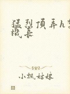 猛烈顶弄h禁欲机长