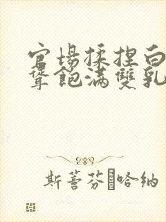 官场揉捏白嫩高耸饱满双乳小说