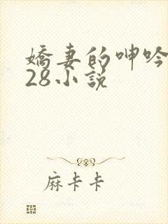 娇妻的呻吟1—28小说