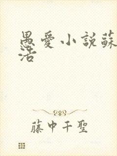 愚爱小说苏倩孙浩