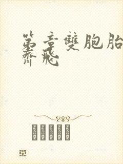 第章双胞胎姐妹齐飞