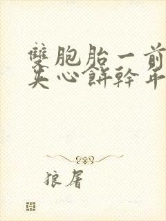 双胞胎一前一后夹心饼干年下