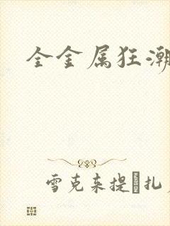 全金属狂潮小说