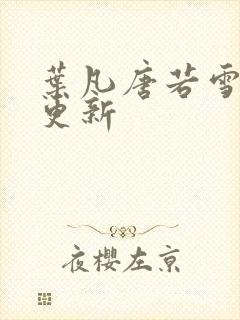 叶凡唐若雪刚刚更新