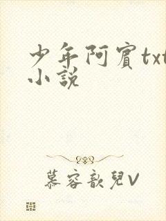 少年阿宾txt小说