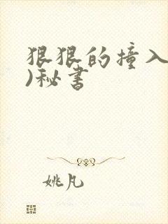 狠狠的撞入(h)秘书