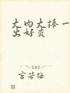 大肉大捧一进一出好爽