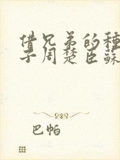 借兄弟的种生孩子周楚臣苏糖封面