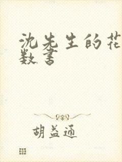 沈先生的花式调数书