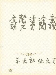 夜阑清冷意欢小说免费阅读