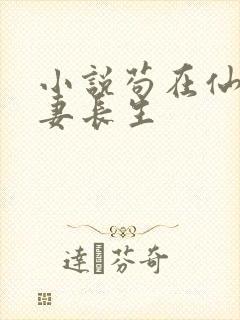 小说苟在仙武娶妻长生封面