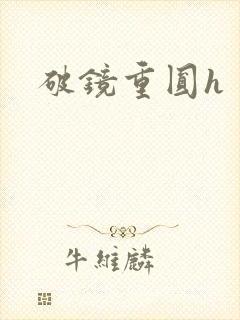 破镜重圆h