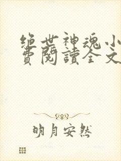 绝世神魂小说免费阅读全文无弹窗