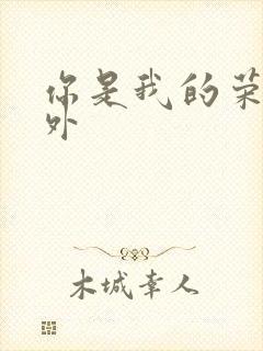 你是我的荣耀番外