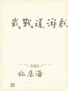 武战道游戏封面