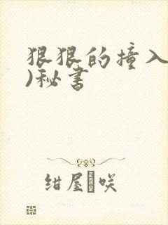 狠狠的撞入(h)秘书