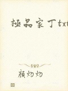 极品家丁txt