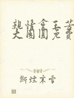 亲情会王芳高敏大团圆免费阅读