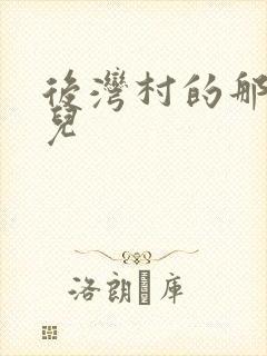 后湾村的那些事儿封面