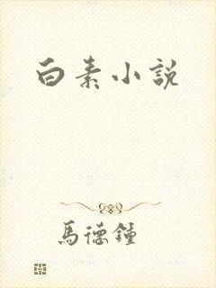 白素小说