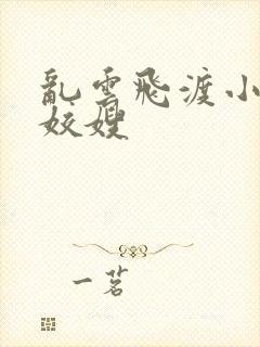 乱云飞渡小说之姣嫂封面