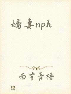 娇妻nph