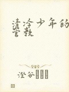 清冷少年的严厉管教