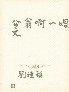 公翁啊～嗯啊h文
