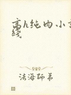 高h纯肉小说在线