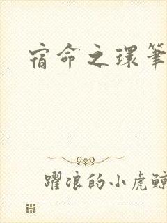 宿命之环笔趣阁封面