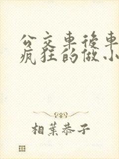 公交车后车座的疯狂的做小