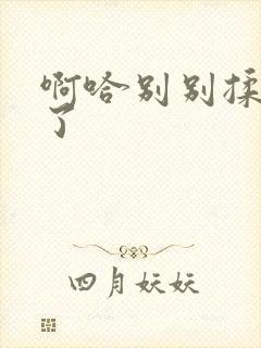 啊哈别别揉那处了封面