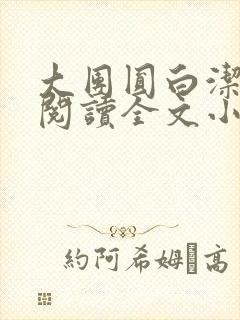 大团圆白洁免费阅读全文小说