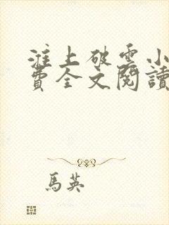 淮上破云小说免费全文阅读封面