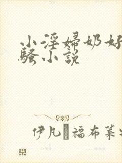 小淫妇奶好大好骚小说