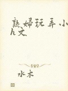 熟妇玩弄小太正h文封面