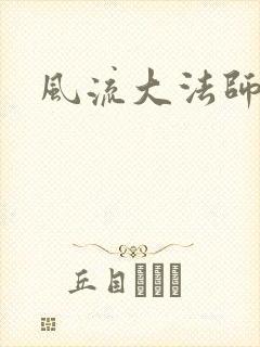 风流大法师封面