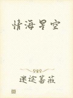 情海星空封面