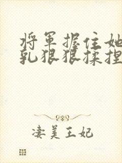 将军握住她的双乳狠狠揉捏小说封面