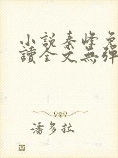 小说秦峰免费阅读全文无弹窗封面