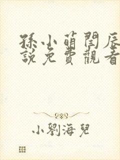 孙小萌闫辰的小说免费观看封面