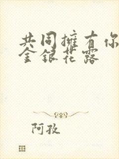 共同拥有你by金银花露封面