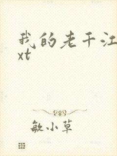 我的老千江湖txt