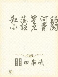 散落星河的记忆小说免费阅读全文封面